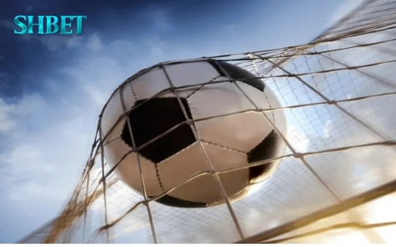 Cược Rung SHBET: Kinh Nghiệm Từ Chuyên Gia 3 Cược rung