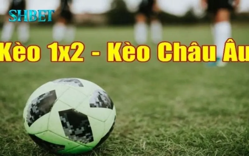 Kèo Châu Âu: 7 Sai Lầm Cần Tránh Khi Cá Cược 2 Kèo Châu Âu